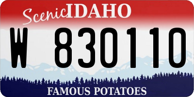 ID license plate W830110