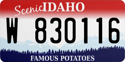 ID license plate W830116