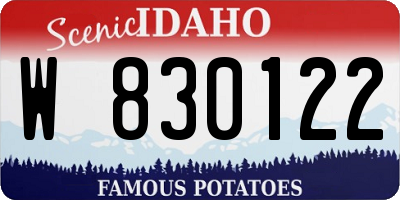 ID license plate W830122