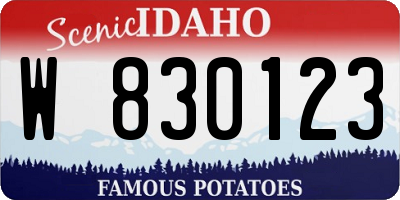 ID license plate W830123