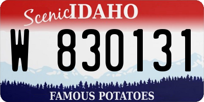 ID license plate W830131