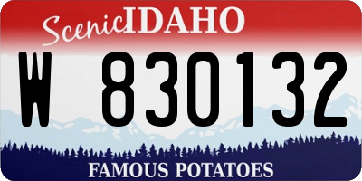 ID license plate W830132