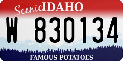 ID license plate W830134