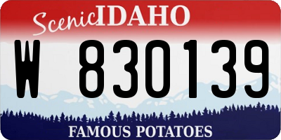 ID license plate W830139