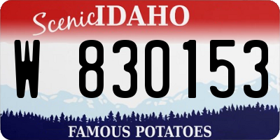 ID license plate W830153