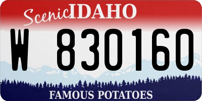 ID license plate W830160