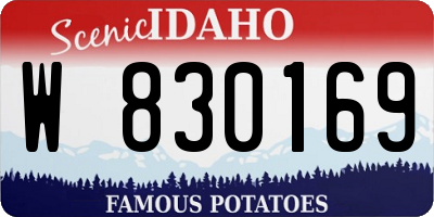 ID license plate W830169