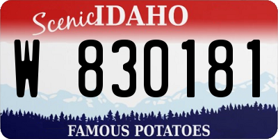 ID license plate W830181