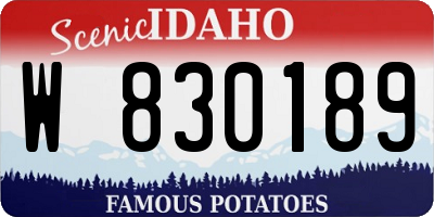 ID license plate W830189