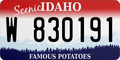 ID license plate W830191