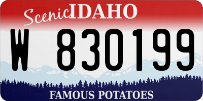 ID license plate W830199