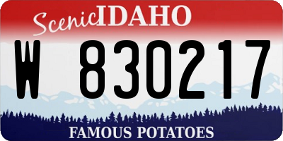 ID license plate W830217
