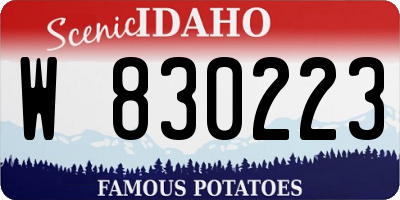ID license plate W830223
