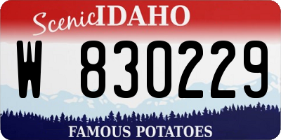 ID license plate W830229