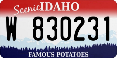 ID license plate W830231