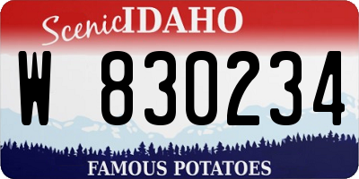 ID license plate W830234