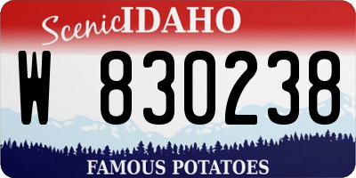 ID license plate W830238