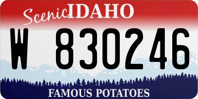 ID license plate W830246