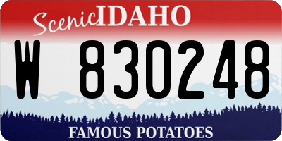 ID license plate W830248
