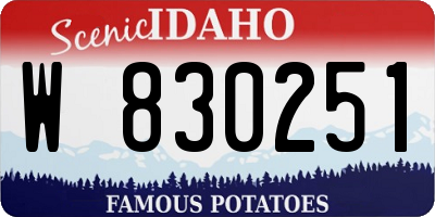 ID license plate W830251