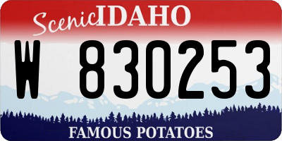 ID license plate W830253