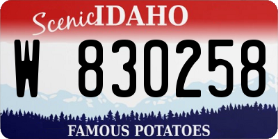 ID license plate W830258