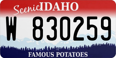 ID license plate W830259