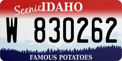 ID license plate W830262