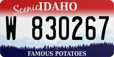 ID license plate W830267