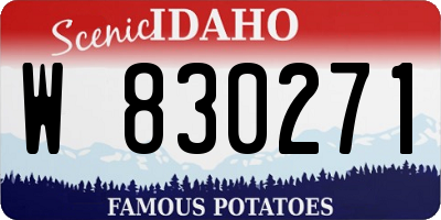 ID license plate W830271