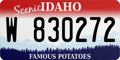 ID license plate W830272