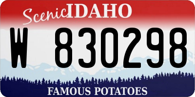 ID license plate W830298