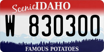 ID license plate W830300