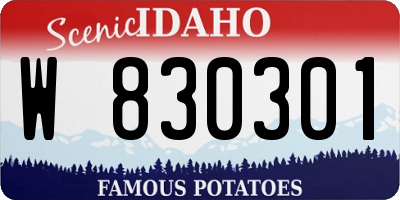 ID license plate W830301