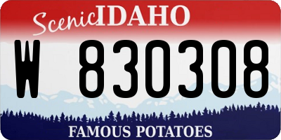 ID license plate W830308