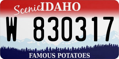 ID license plate W830317