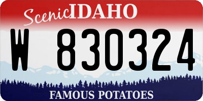 ID license plate W830324