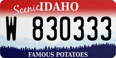 ID license plate W830333