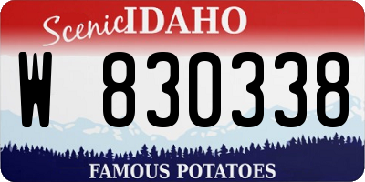 ID license plate W830338