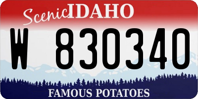 ID license plate W830340