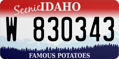 ID license plate W830343