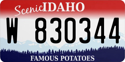 ID license plate W830344
