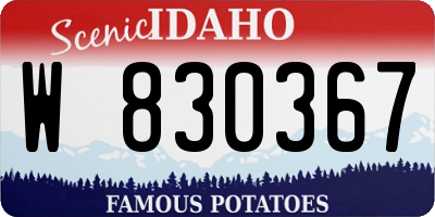 ID license plate W830367