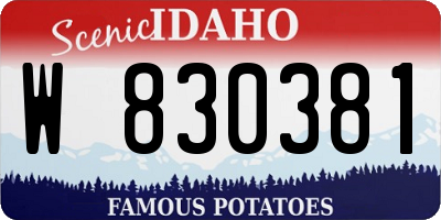 ID license plate W830381