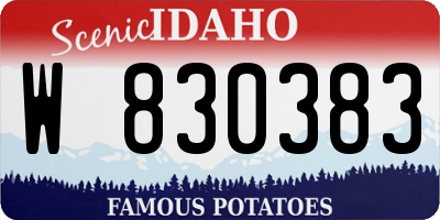 ID license plate W830383
