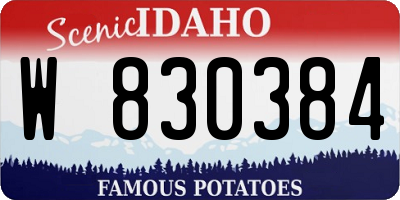ID license plate W830384