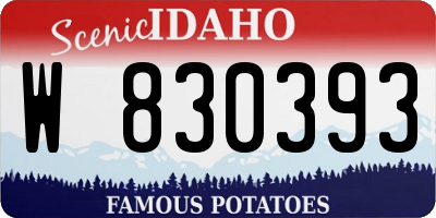 ID license plate W830393
