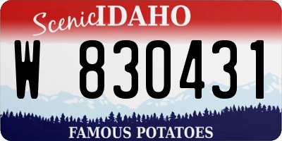 ID license plate W830431