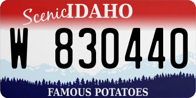 ID license plate W830440