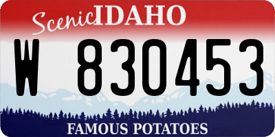 ID license plate W830453
